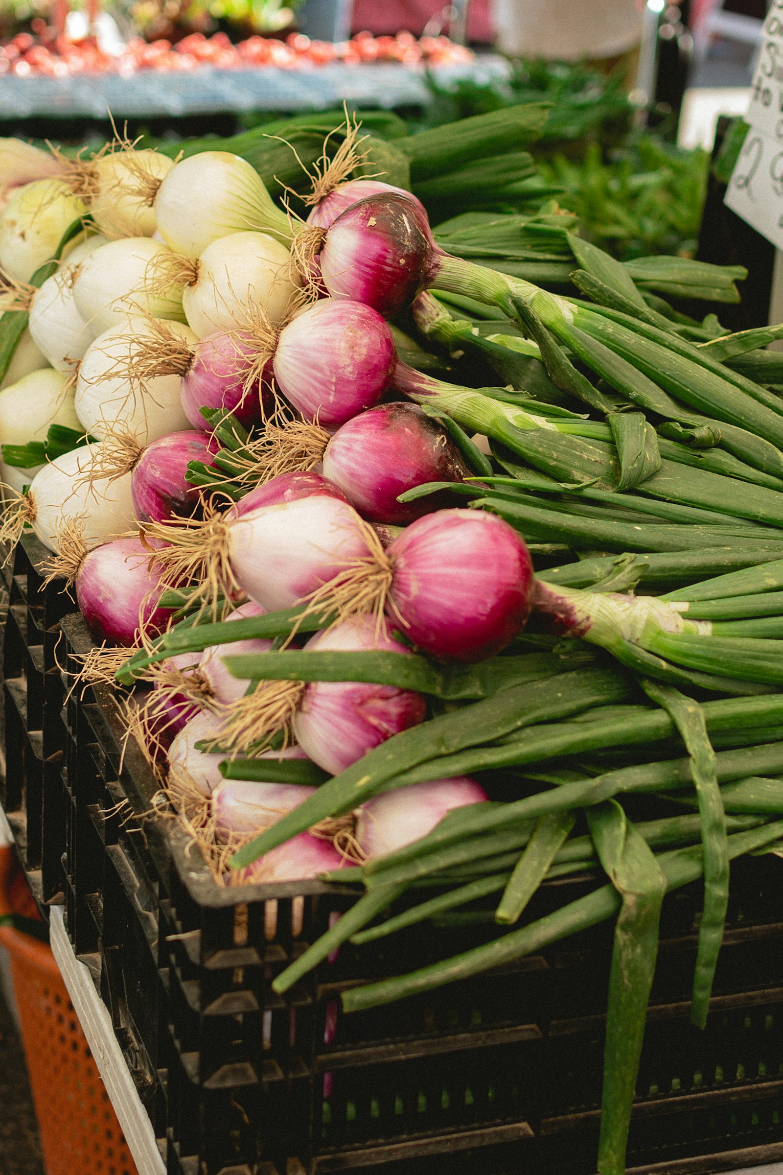 Fresh onions at a produce market