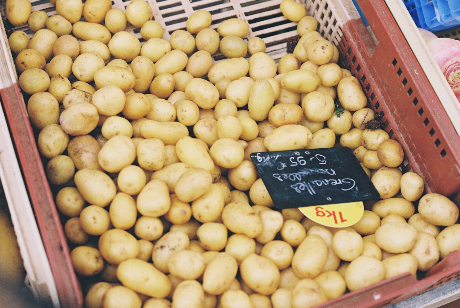 Fresh potatoes in a market crate